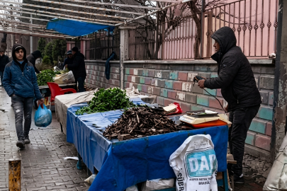 Şanlıurfa'da bahar ilk meyvesini verdi