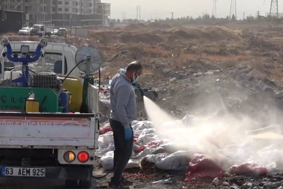 Şanlıurfa'da ilaçlama alarmı