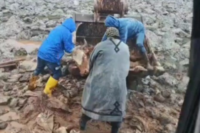 Şanlıurfa’da inek, kepçe yardımıyla kurtarıldı