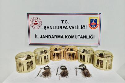 Şanlıurfa'da kaçak avcılarına operasyon: 3 gözaltı