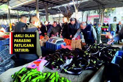 Şanlıurfa'da Patlıcan altınla yarışıyor