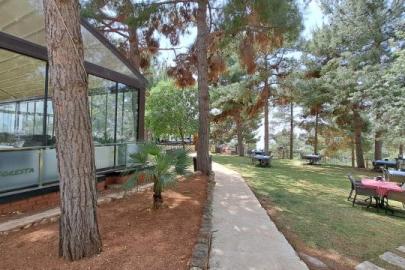 Şanlıurfa’nın 'orman varlığı' için topyekün seferberlik şart