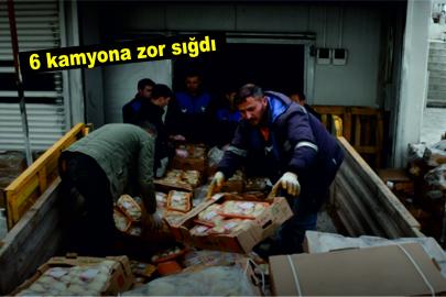 Şanlurfalının canına kastettiler