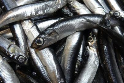 Savaş halindeki ülke ihracatta ilk sırayı aldı