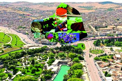 Şehirlerin lezzet yarışında Şanlıurfa kaçıncı?