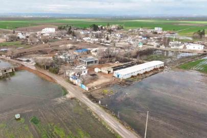 Şiddetli yağışlar tarlaları göle çevirdi