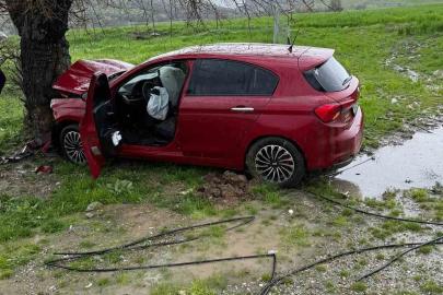 Ağaca çarpan otomobilin sürücüsü yaralandı