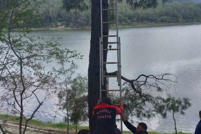 Ağaca takılan kargayı itfaiye kurtardı