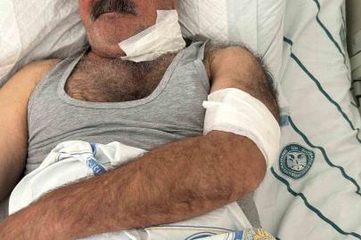 At sahibini boğazından ısırarak ağır yaraladı