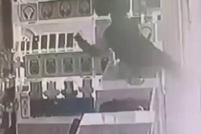 Böyle hırsızlık görülmedi: Masanın üstüne çıkıp vitrindeki telefonları alarak kaçtı