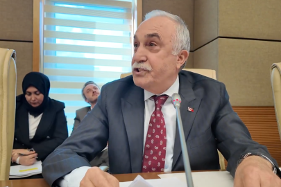 'Bu yaklaşım eşitlik ilkesine aykırıdır'