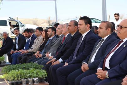 Büyükşehir, 1 milyon fide dağıtarak üreticiyi destekledi