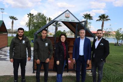 Büyükşehir Belediyesi’nden sokak kedileri için örnek proje