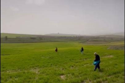 Çiftçilerden zorlu mesai: Gübreleme eski usulle yapıldı