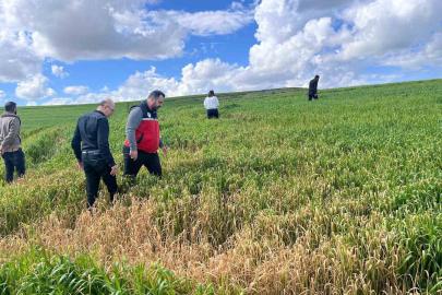 Çiftçilere ’yanlış ilaçlama’ uyarısı