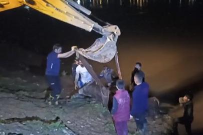 Düşen ineği itfaiye iş makinesiyle kurtardı