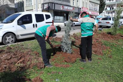 Haliliye’de yaz öncesi parklarda hummalı çalışma