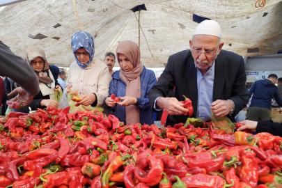 İsot'u Adana'da 7 liraya almışlardı, 200 liraya sattılar