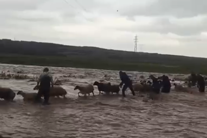 İtfaiye, mahsur kalan çoban ve 40 koyunu kurtardı