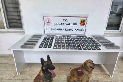 Jandarmadan asayiş, kaçakçılık ve narkotik operasyonu