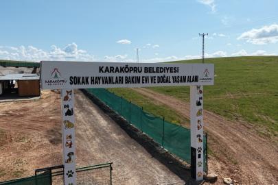 Karaköprü’de sokak hayvanlarının doğal yaşam alanı güçlendiriliyor