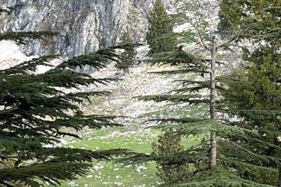 Kayalıklardan düşen adam hayatını kaybetti