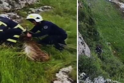 Keçilerin yardımına itfaiye yetişti