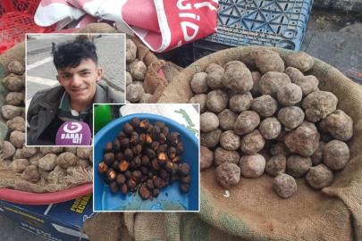 Keme fiyatları, cep yakıyor