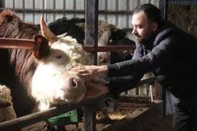 Kurbanlık alışverişinde erken alım hareketliliği