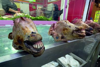 Ne pişmiş kelle gibi ne gülisen?