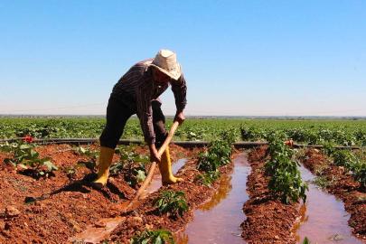 Şanlıurfa çiftçisine hibe müjdesi