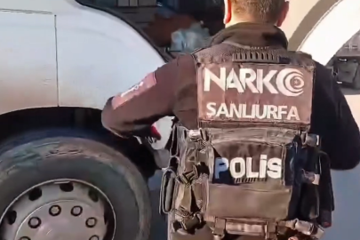 Şanlıurfa'da 33 Kilogram Skunk ele geçirildi