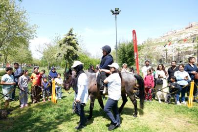 Şanlıurfa’da ‘Kültür Yolu Festivali’ devam ediyor