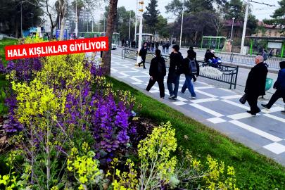 Şanlıurfa'da son yılların en serin Nisan ayı yaşanıyor