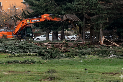 ŞBB'den 'Ağaç katliamı' açıklaması