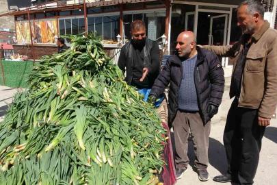 Şifa kaynağı ‘çiriş otu’ tezgahlardaki yerini aldı