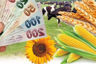 Tarım Bakanından Şanlıurfalı çiftçilere müjde