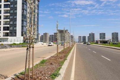 Yeşil dönüşüm projesi kapsamında 5 bin ağaç dikme çalışması gerçekleşti