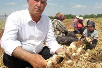 Yüksek maliyetin düşürülmesi talebi