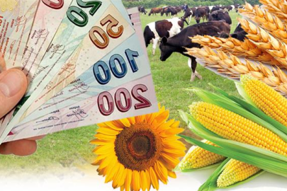 5,4 milyar liralık tarımsal destek ödemeleri başladı