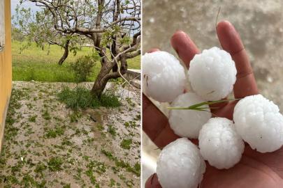 Bozovalı çiftçilerden çağrı: Afet bölgesi ilan edilsin