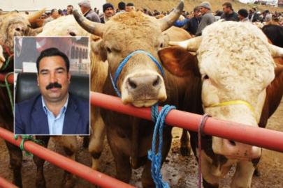 Çiftçi: Geçen yıla göre yüzde 50 artış var