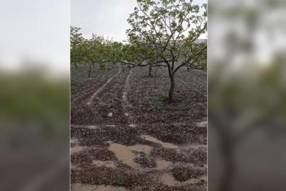 Dolu ve sağanak yağış meyve bahçelerini vurdu