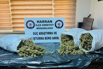 Harran'da uyuşturucu operasyonu: 2