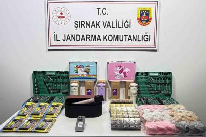 Jandarmadan asayiş, kaçakçılık ve narkotik operasyonu