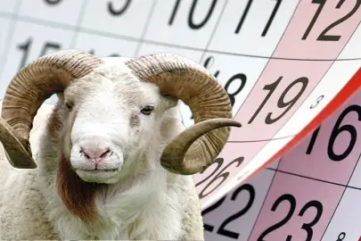 Kurban bayramı tatili 9 güne çıkarıldı