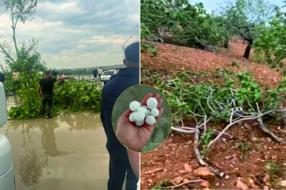 Şanlıurfa 'Tarımsal afet bölgesi' ilan edilmeli
