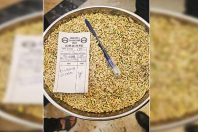 Şanlıurfa’da yılın ilk arpa satışı gerçekleşti