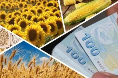 Şanlıurfalı çiftçilere 'destekleme' müjdesi