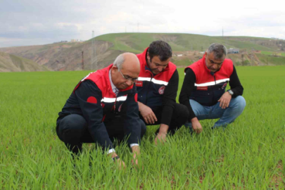 Yazın gecikmesi çiftçileri endişelendiriyor